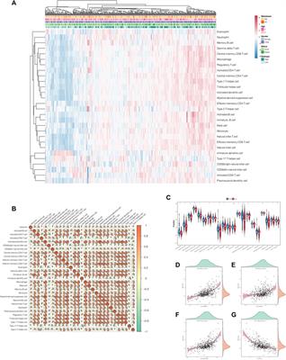 Identification of a Six-Gene Prognostic Signature Characterized by Tumor Microenvironment Immune Profiles in Clear Cell Renal Cell Carcinoma